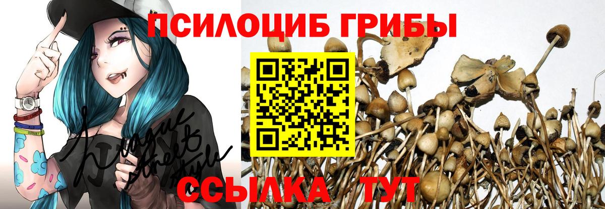 Елец  Псилоцибиновые грибы мухоморы  Псилоцибиновые грибы Psilocybe  Вход с VPN 